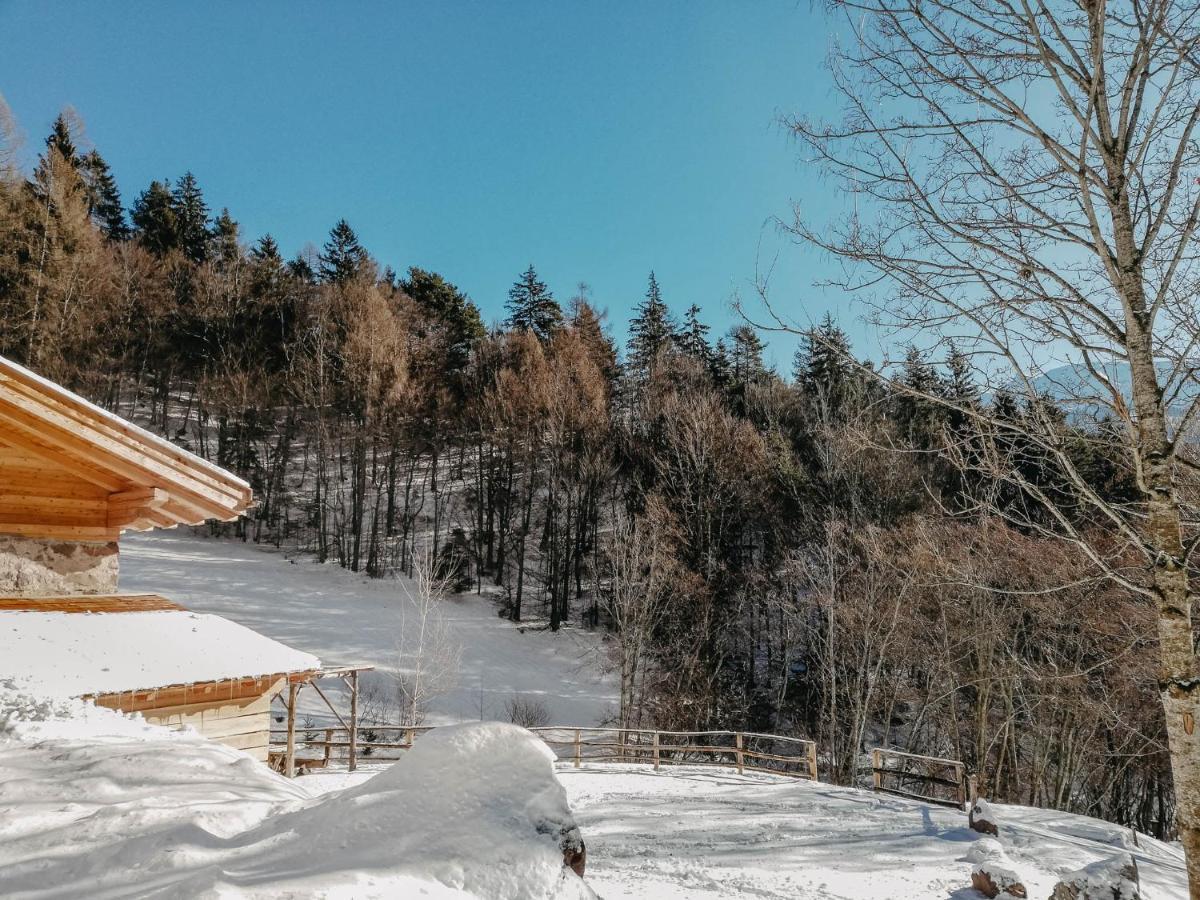Odomi Maso Nel Bosco Villa Sant'Orsola Eksteriør billede