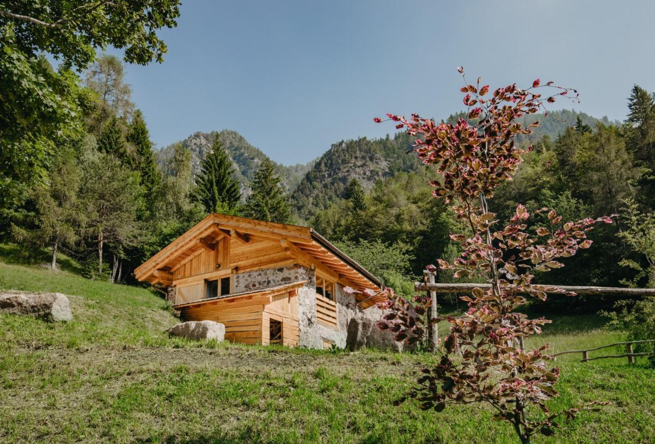 Odomi Maso Nel Bosco Villa Sant'Orsola Eksteriør billede