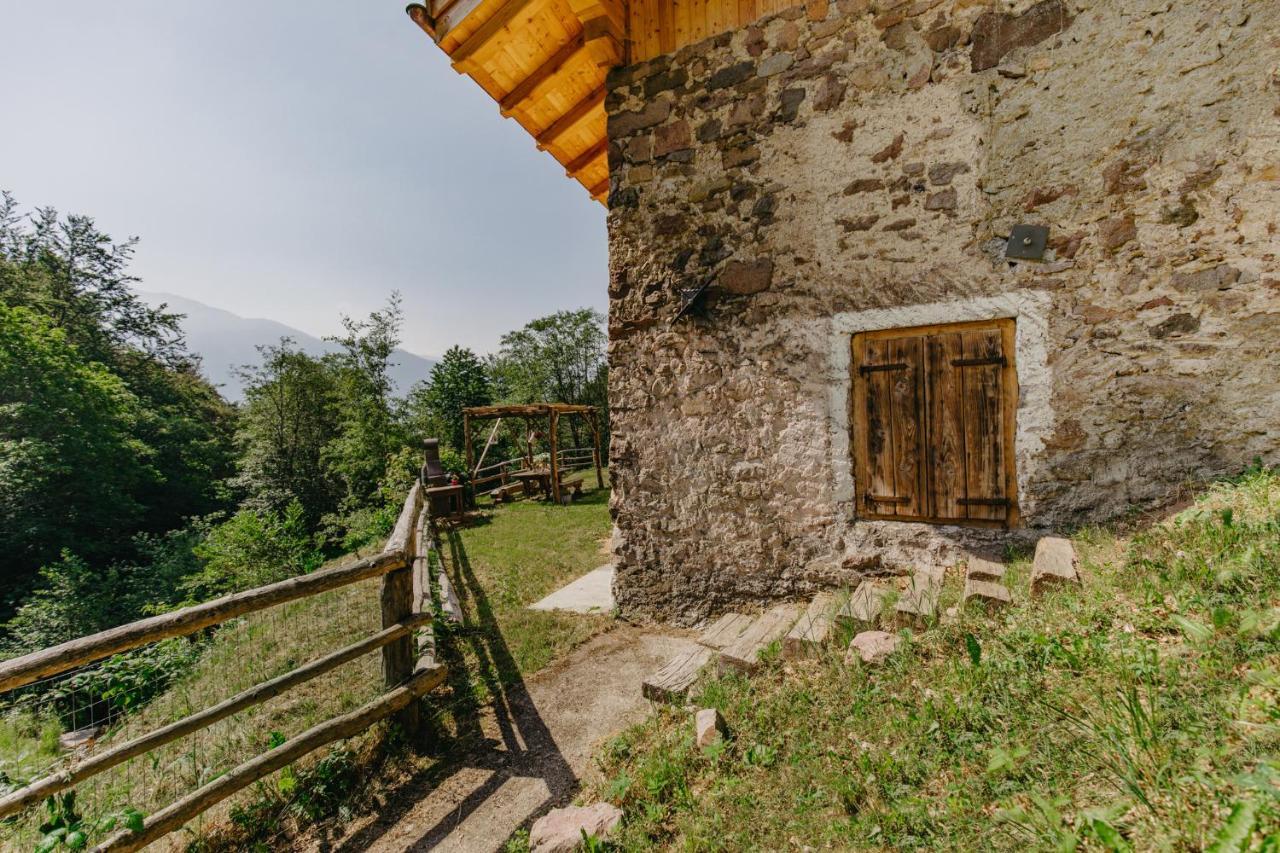 Odomi Maso Nel Bosco Villa Sant'Orsola Eksteriør billede